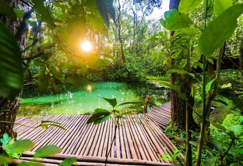 فندق ريفى Fazenda Areia Que Canta