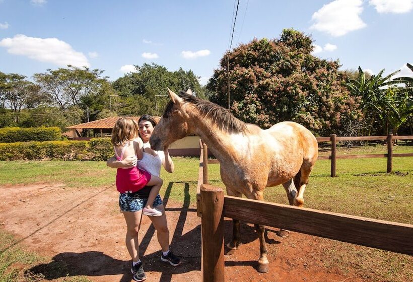 فندق ريفى Fazenda Areia Que Canta