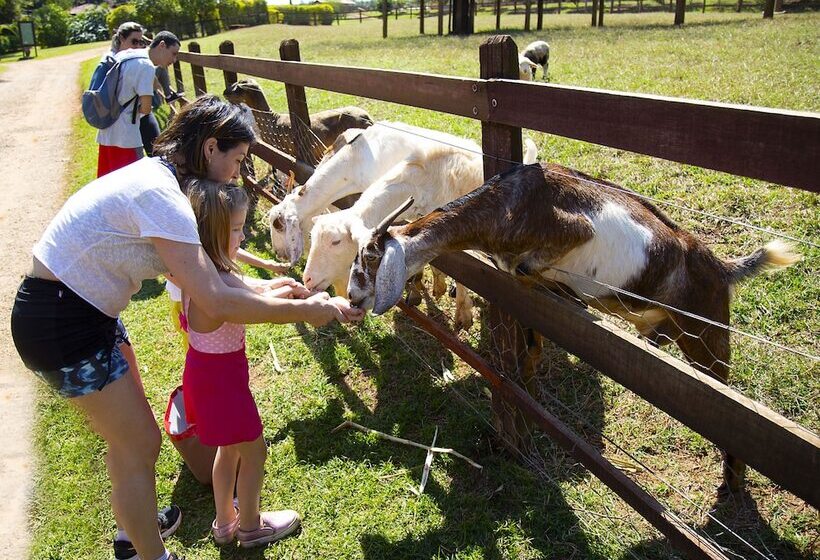 فندق ريفى Fazenda Areia Que Canta