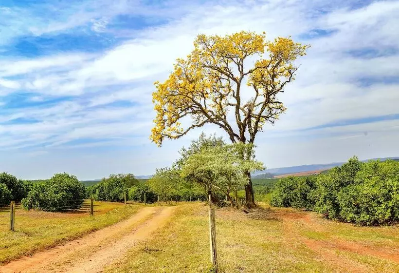 田舎風ホテル Fazenda Areia Que Canta