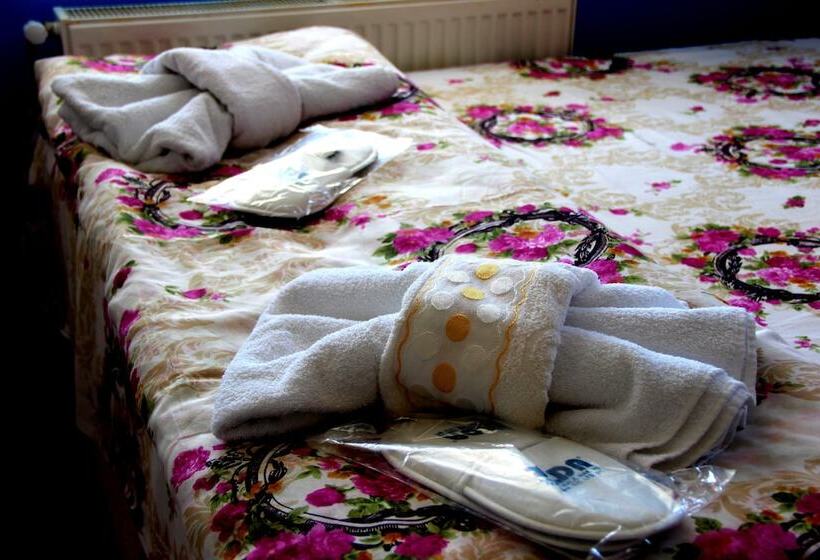 호텔 Turhan Pansiyon