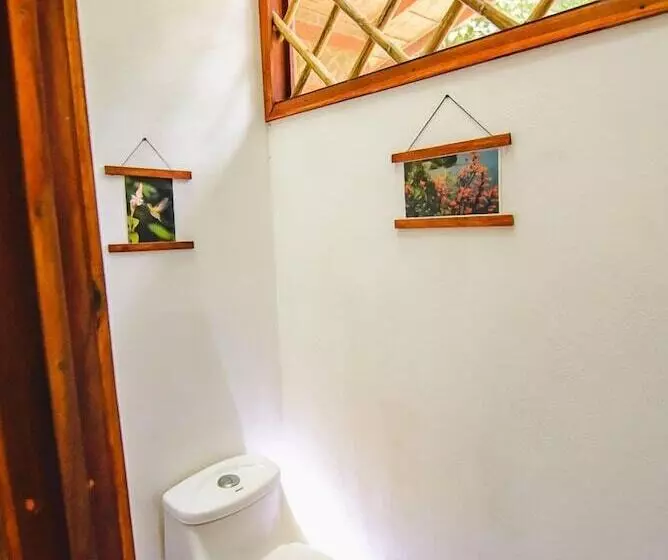 Hotelli Uva Blue Jungle Villas