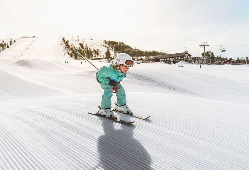 Idre Fjäll Stugor Och Lägenheter