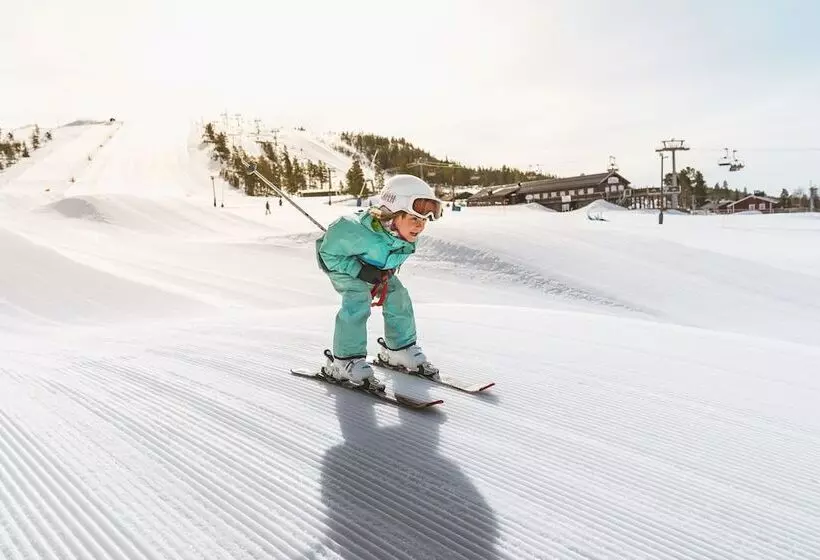 Idre Fjäll Stugor Och Lägenheter