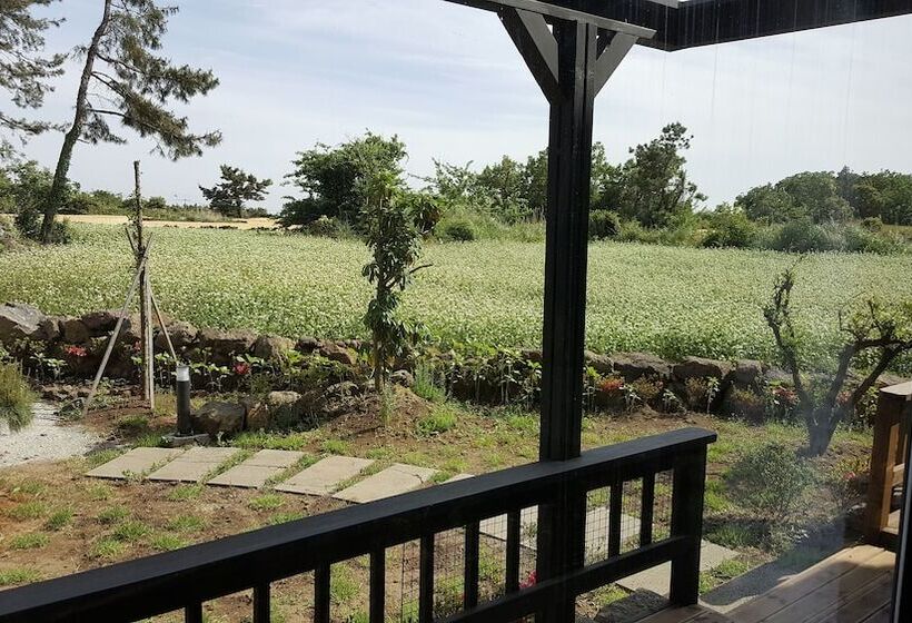 Пансион Sansuite