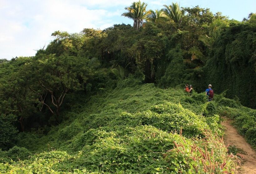 旅馆 Punto Mita Eco Surf Suites & Café