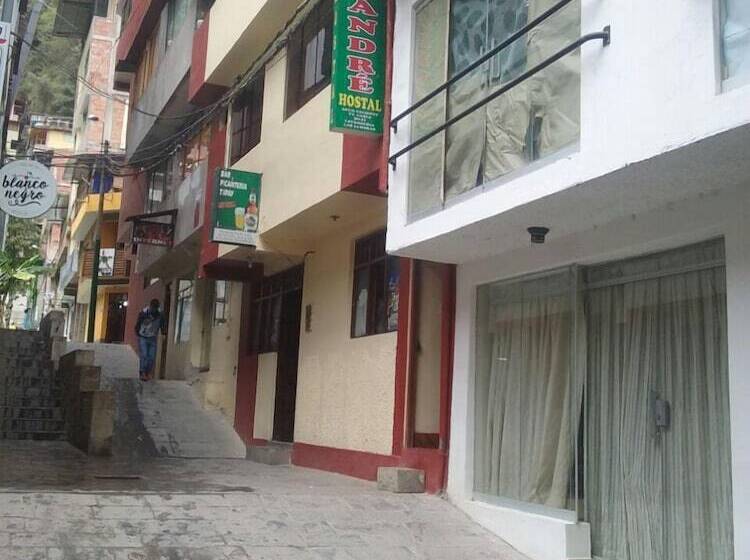 تختخواب و صبحانه Don Andre