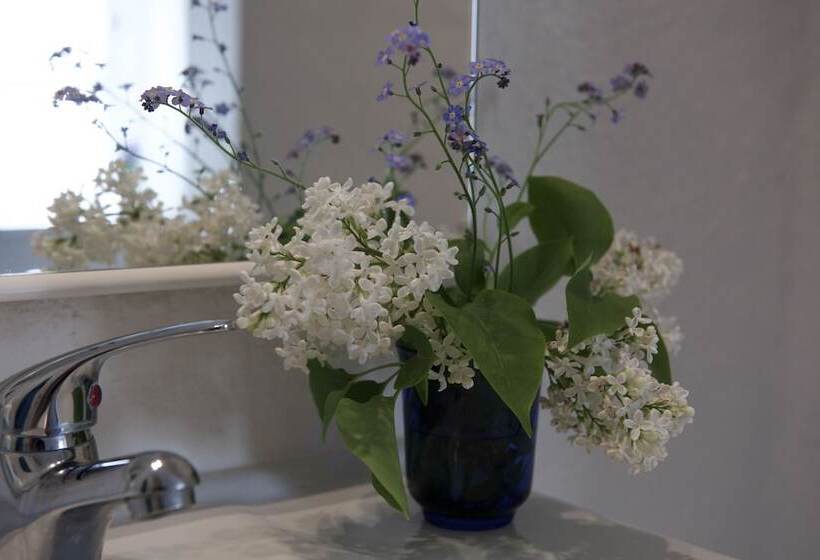 Bed and Breakfast Lotus Bb & Spa   Indre Ro Yoga