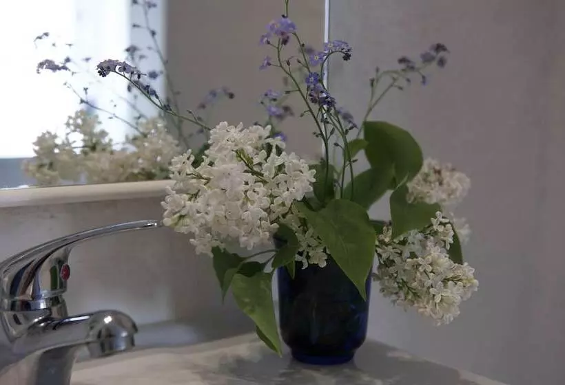 Aamiaismajoitus (B&B) Lotus Bb & Spa   Indre Ro Yoga