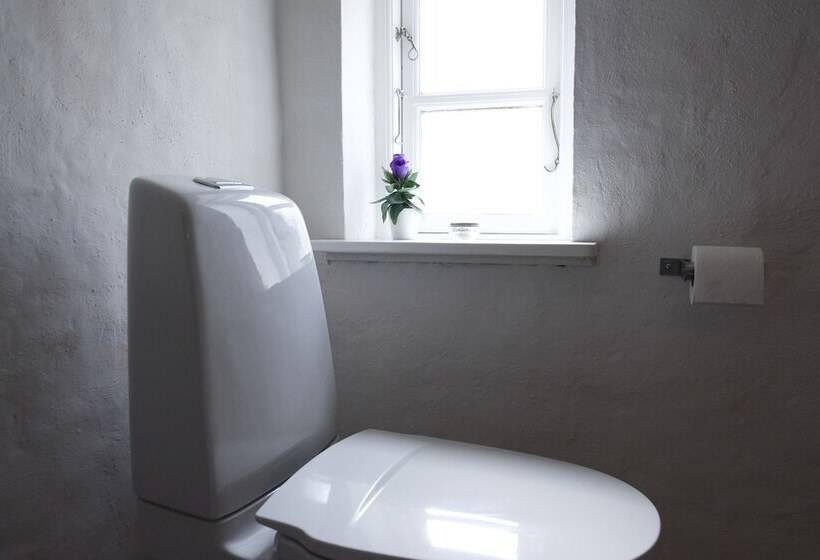 Bed and Breakfast Lotus Bb & Spa   Indre Ro Yoga