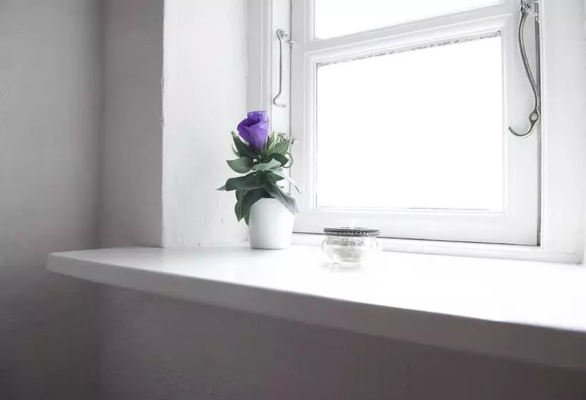 Aamiaismajoitus (B&B) Lotus Bb & Spa   Indre Ro Yoga