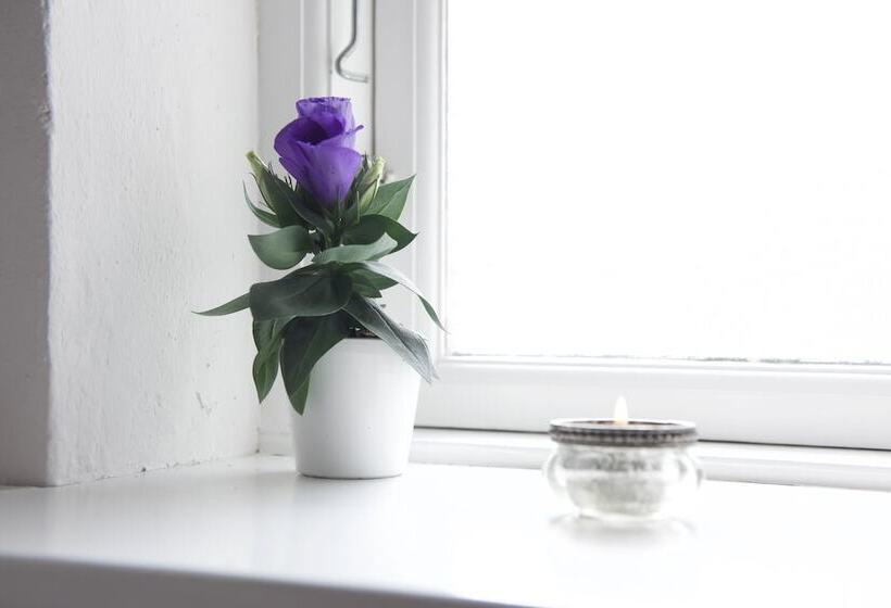 Bed and Breakfast Lotus Bb & Spa   Indre Ro Yoga