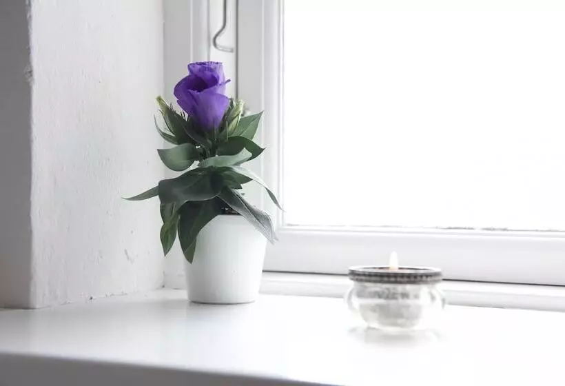 Aamiaismajoitus (B&B) Lotus Bb & Spa   Indre Ro Yoga