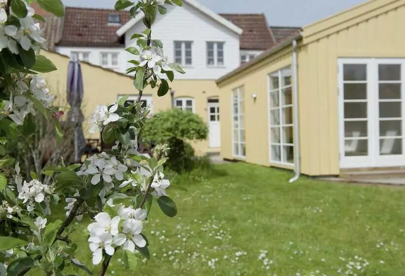 Aamiaismajoitus (B&B) Lotus Bb & Spa   Indre Ro Yoga