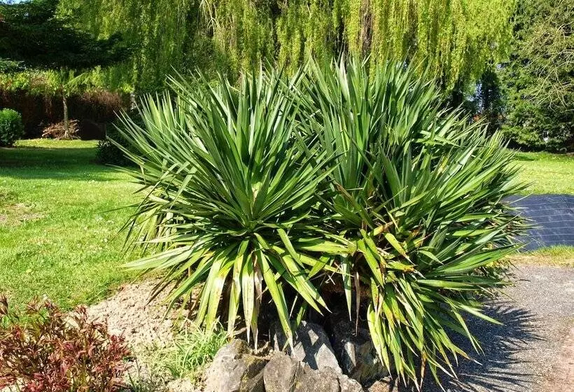 Aamiaismajoitus (B&B) Normandy Getaways At Mis Harand