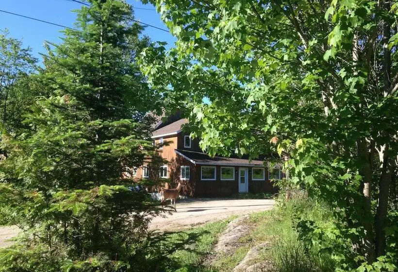 Warbler S Roost Country Inn B&b