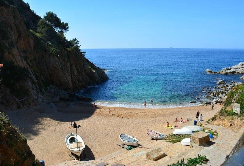 Hotel Apartamento Puerto Rico 39