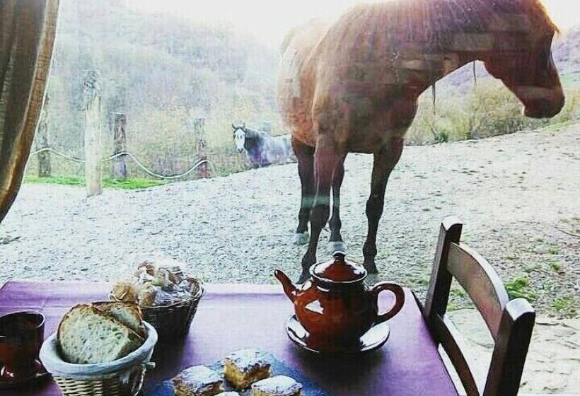 호텔 Casería La Infiesta