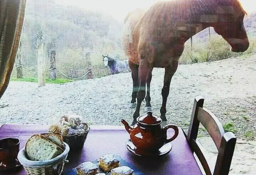 Hotelli Casería La Infiesta