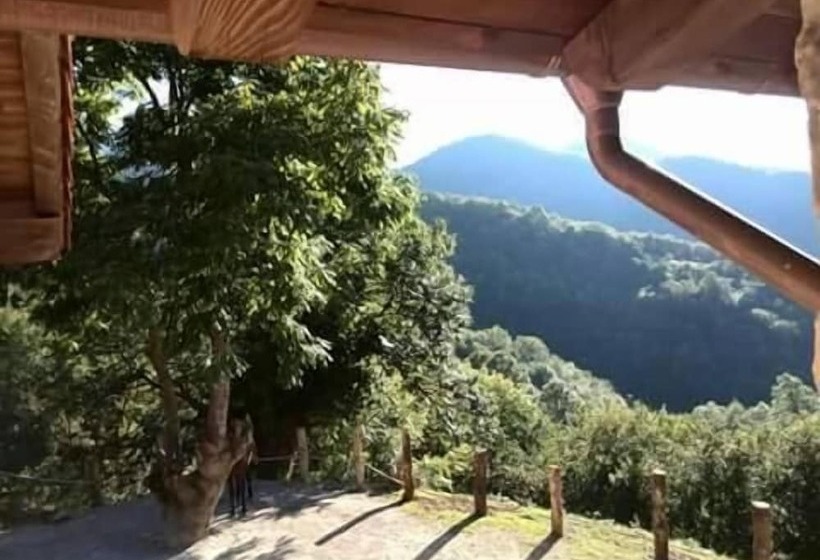 호텔 Casería La Infiesta