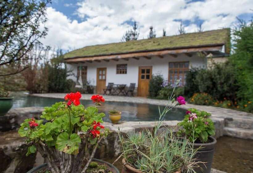 בית מלון כפרי Churup Mountain Lodge