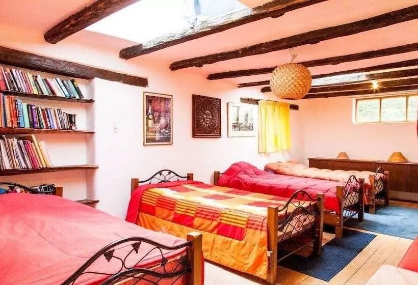 ホテル Kusi Lodge