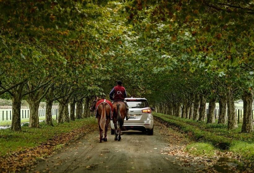 ホテル La Aguada Casa De Polo By Don