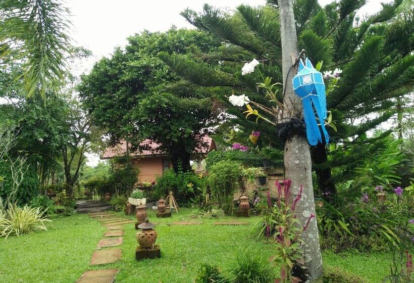 Hotel Maesai Doi View Resort