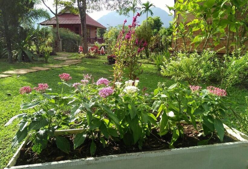 Hotel Maesai Doi View Resort