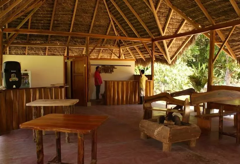 ホテル Tres Ríos Jungle Lodge