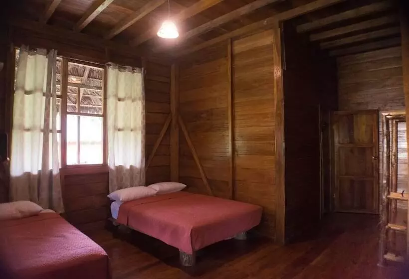 ホテル Tres Ríos Jungle Lodge