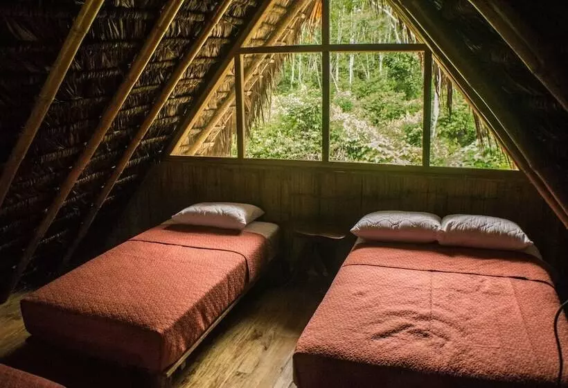 ホテル Tres Ríos Jungle Lodge
