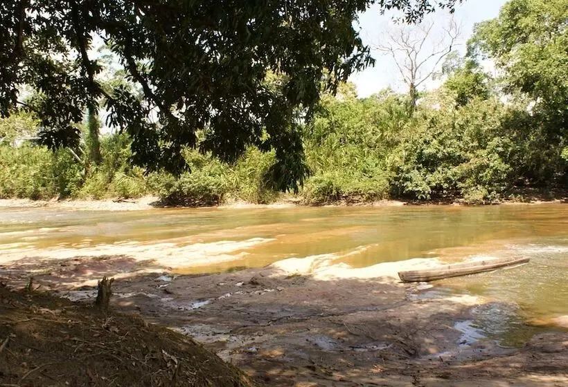 ホテル Tres Ríos Jungle Lodge
