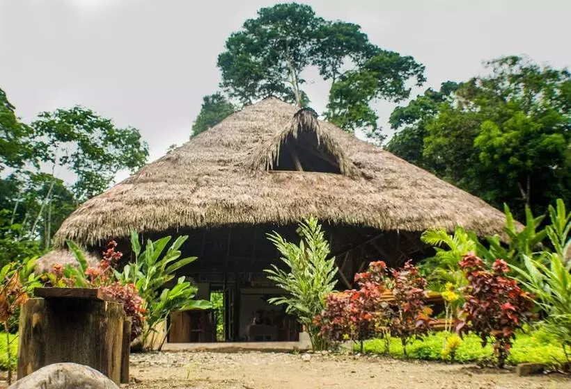 ホテル Tres Ríos Jungle Lodge