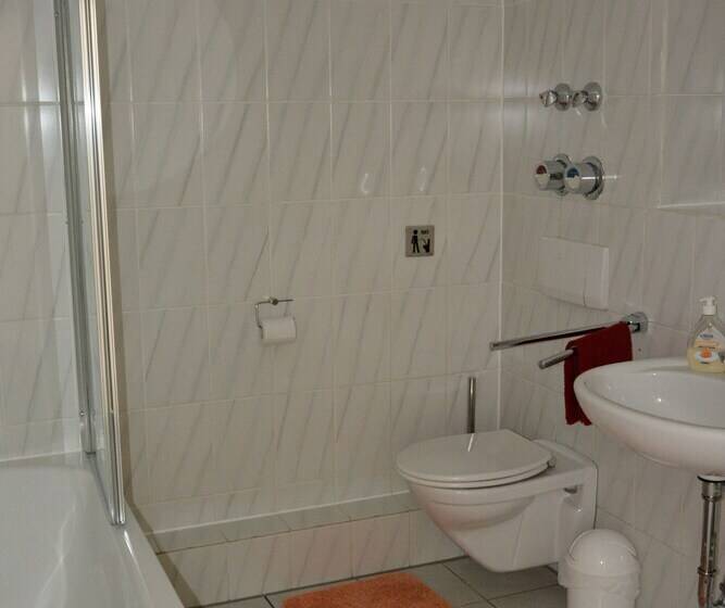 Пансион Ferienwohnungen Steinhof Littmann