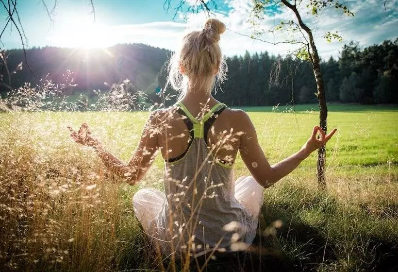 リゾートホテル Trixi Park Zittauer Gebirge   Ferienhäuser, Hotel Und Camping