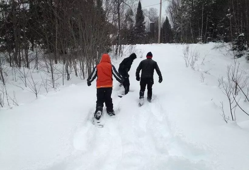 Warbler S Roost Country Inn B&b