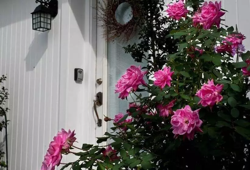 Country View Pa Bed & Breakfast