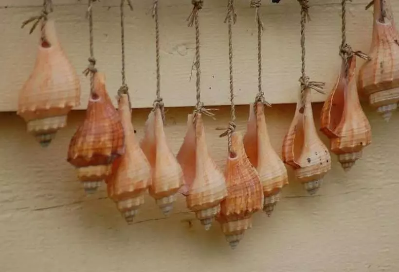 Hotelli Lelymare Logies