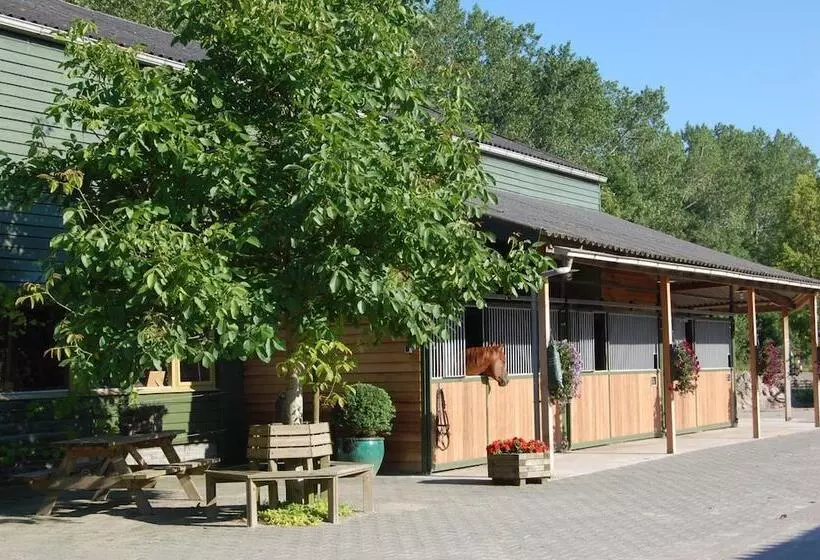 Hotelli Lelymare Logies