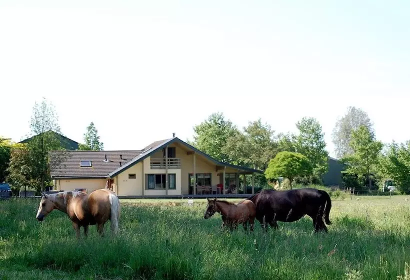 Hotelli Lelymare Logies