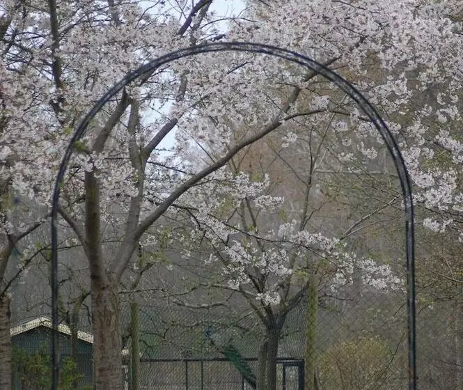 Hotelli Lelymare Logies