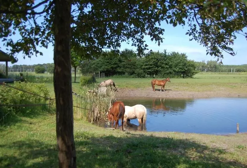 Hotelli Lelymare Logies