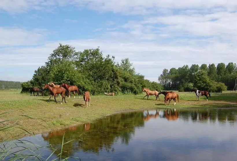 Hotelli Lelymare Logies