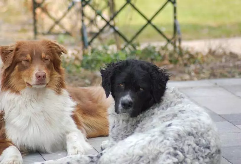 Hotelli Lelymare Logies