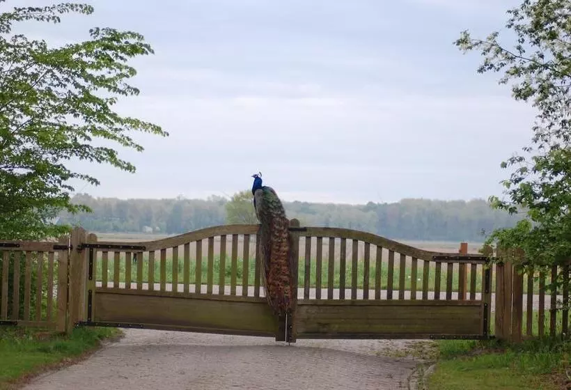 Hotelli Lelymare Logies