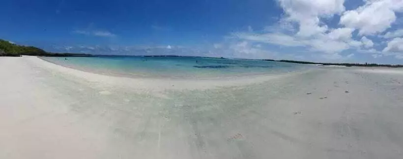 هتل Palmeras