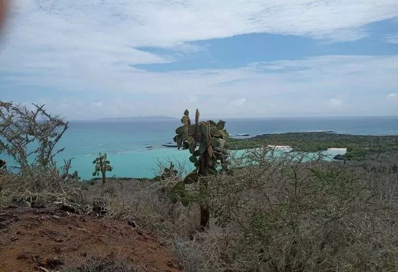هتل Palmeras