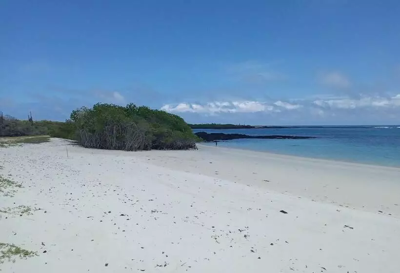 هتل Palmeras