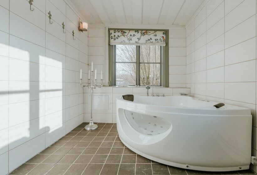 בית מלון כפרי Schenströmska Herrgården